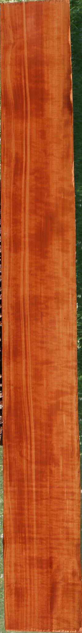 Swiss Pear Live Edge Lumber