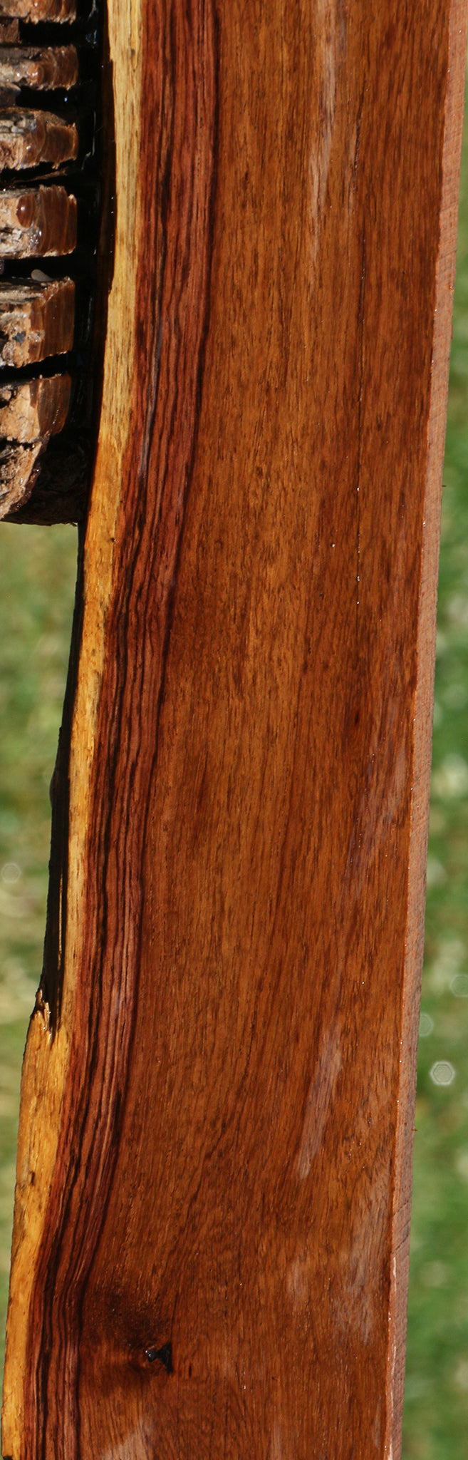 Madagascar Rosewood Live Edge Lumber