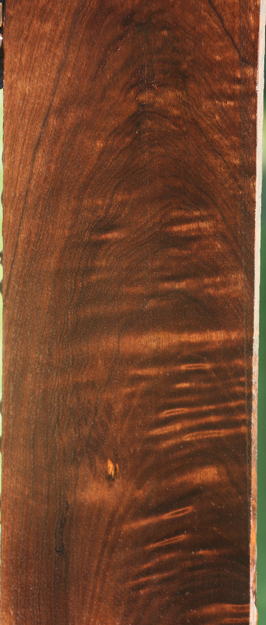 Extra Fancy Baked Birch Lumber