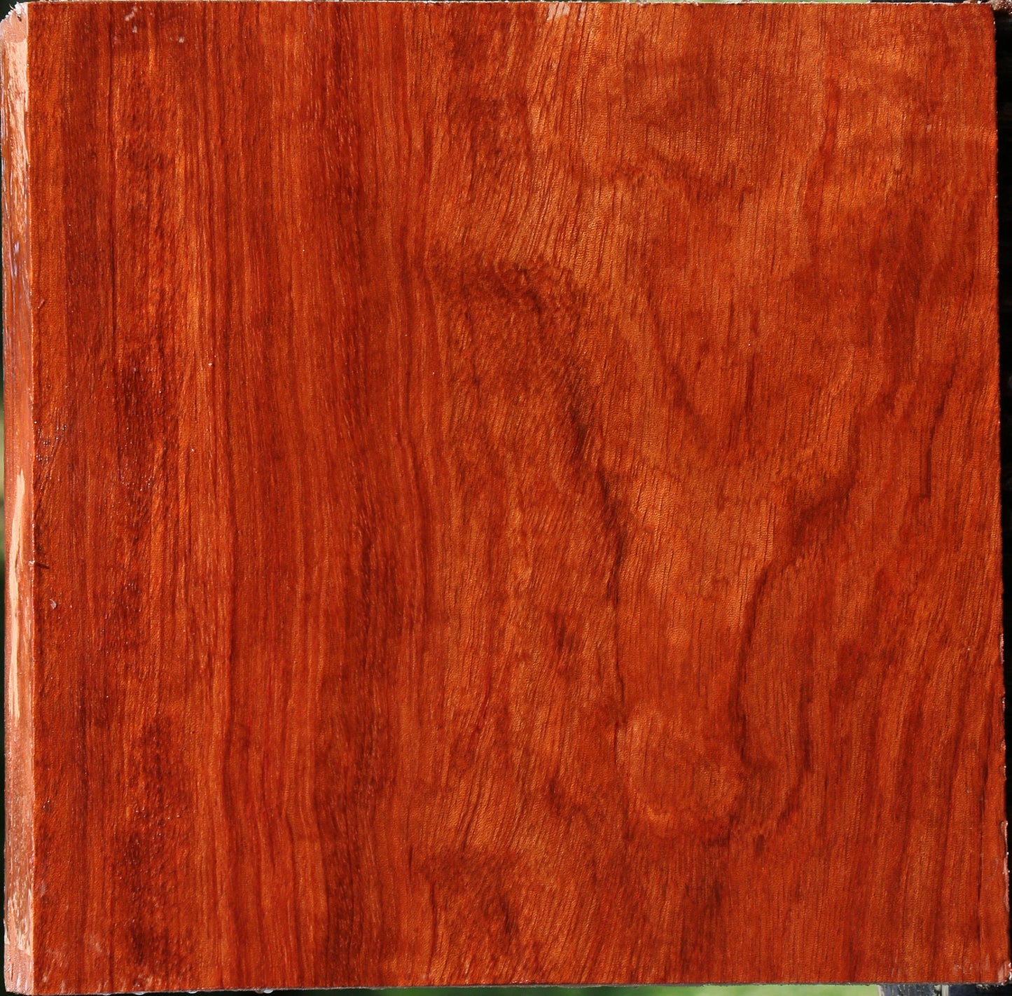 Figured Bubinga Bowl Blank