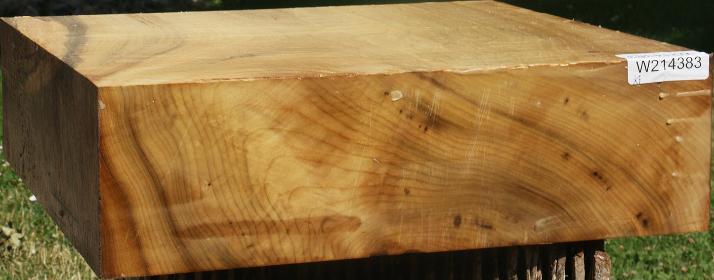 Extra Fancy Myrtle Bowl Blank