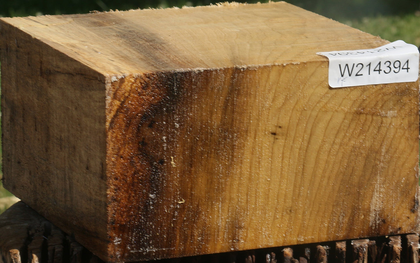 Extra Fancy Myrtle Bowl Blank