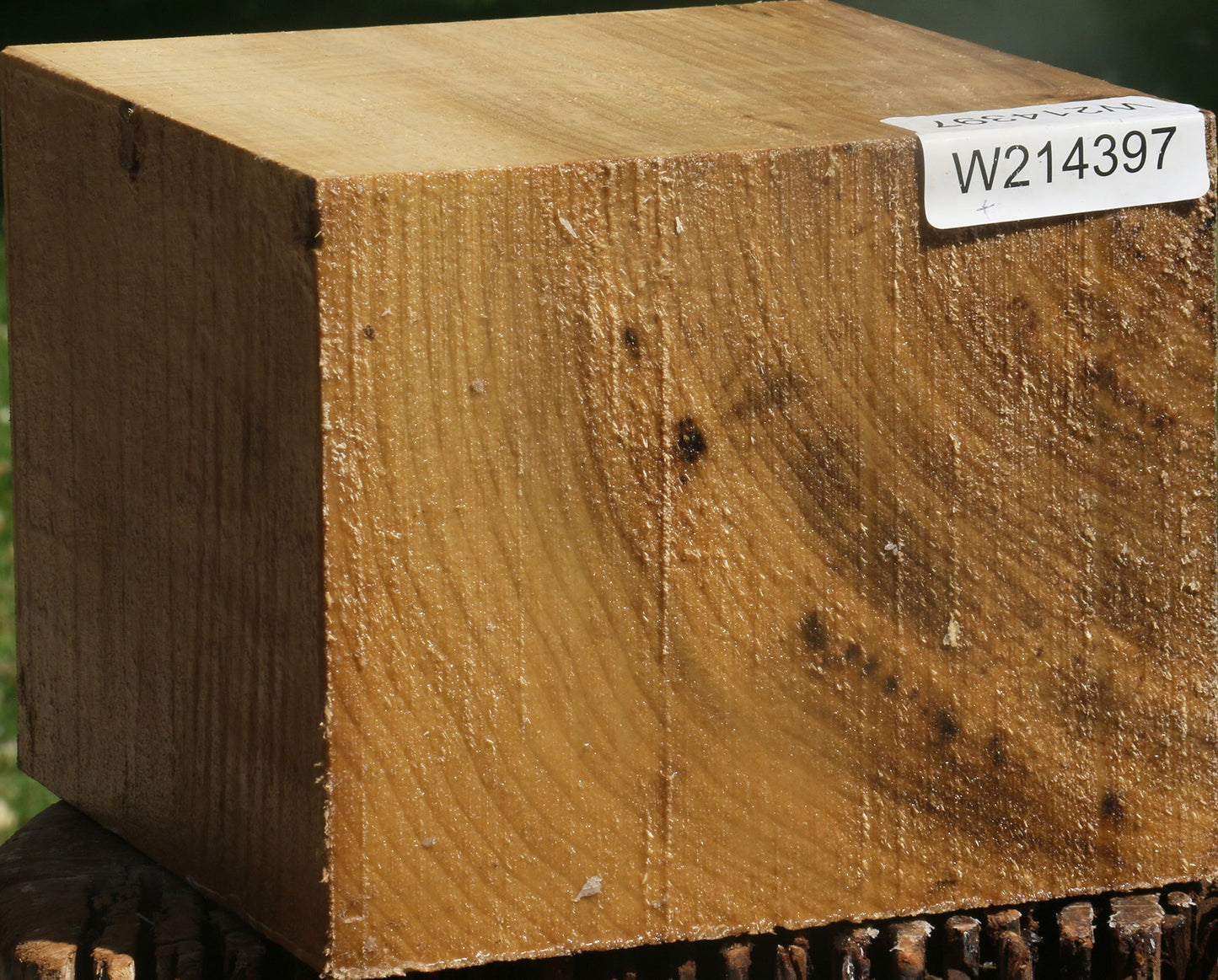 Figured Myrtle Bowl Blank