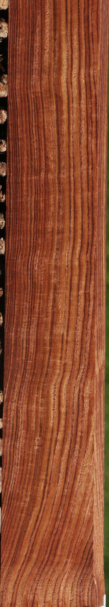 Exhibition Kingwood Lumber