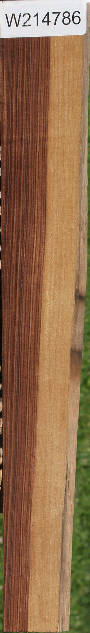 Kingwood Live Edge Lumber