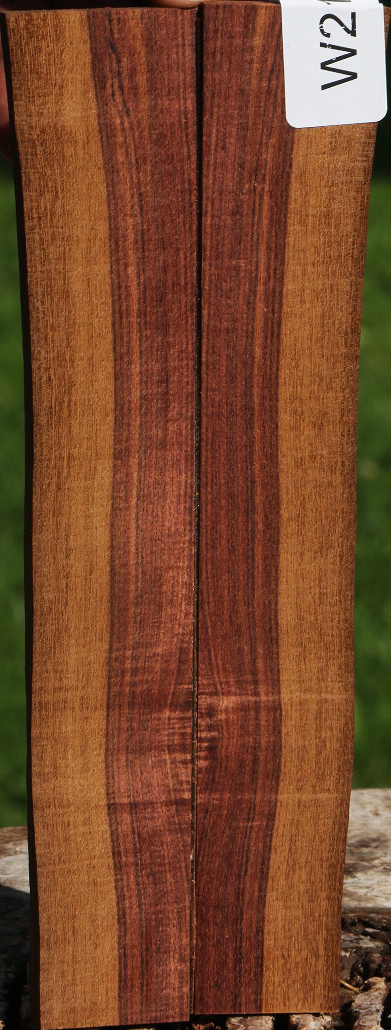 Kingwood Live Edge Bookmatched Knife Scales