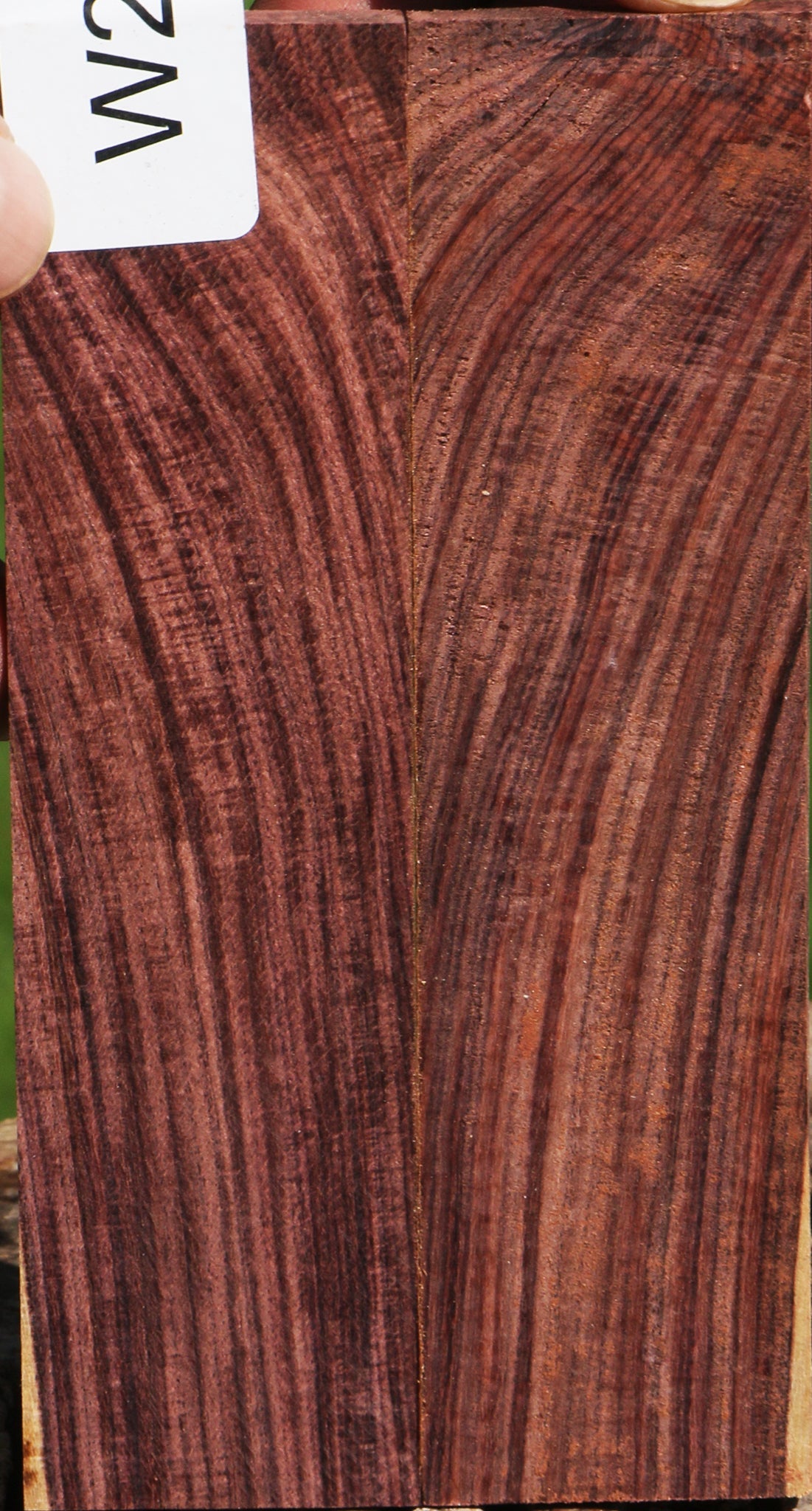 Kingwood Bookmatched Knife Scales