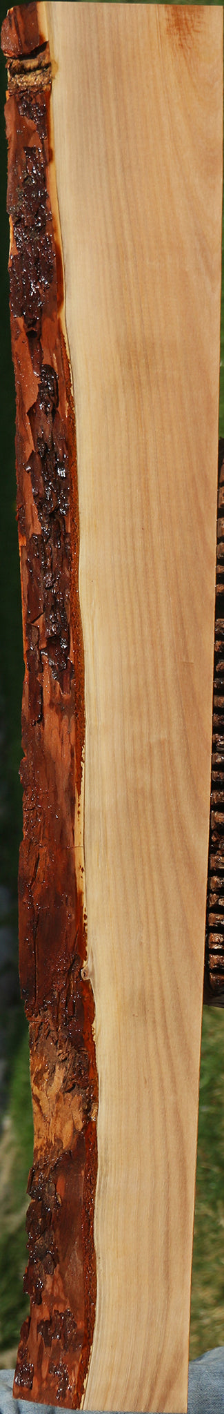 Madrone Live Edge Lumber