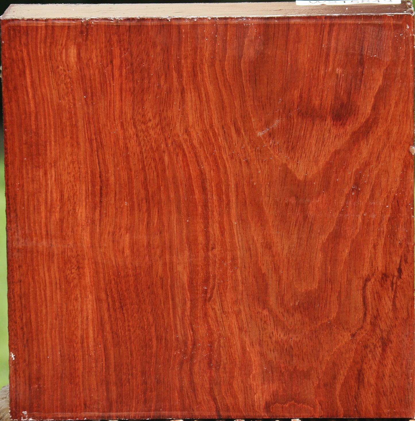 Bubinga Bowl Blank