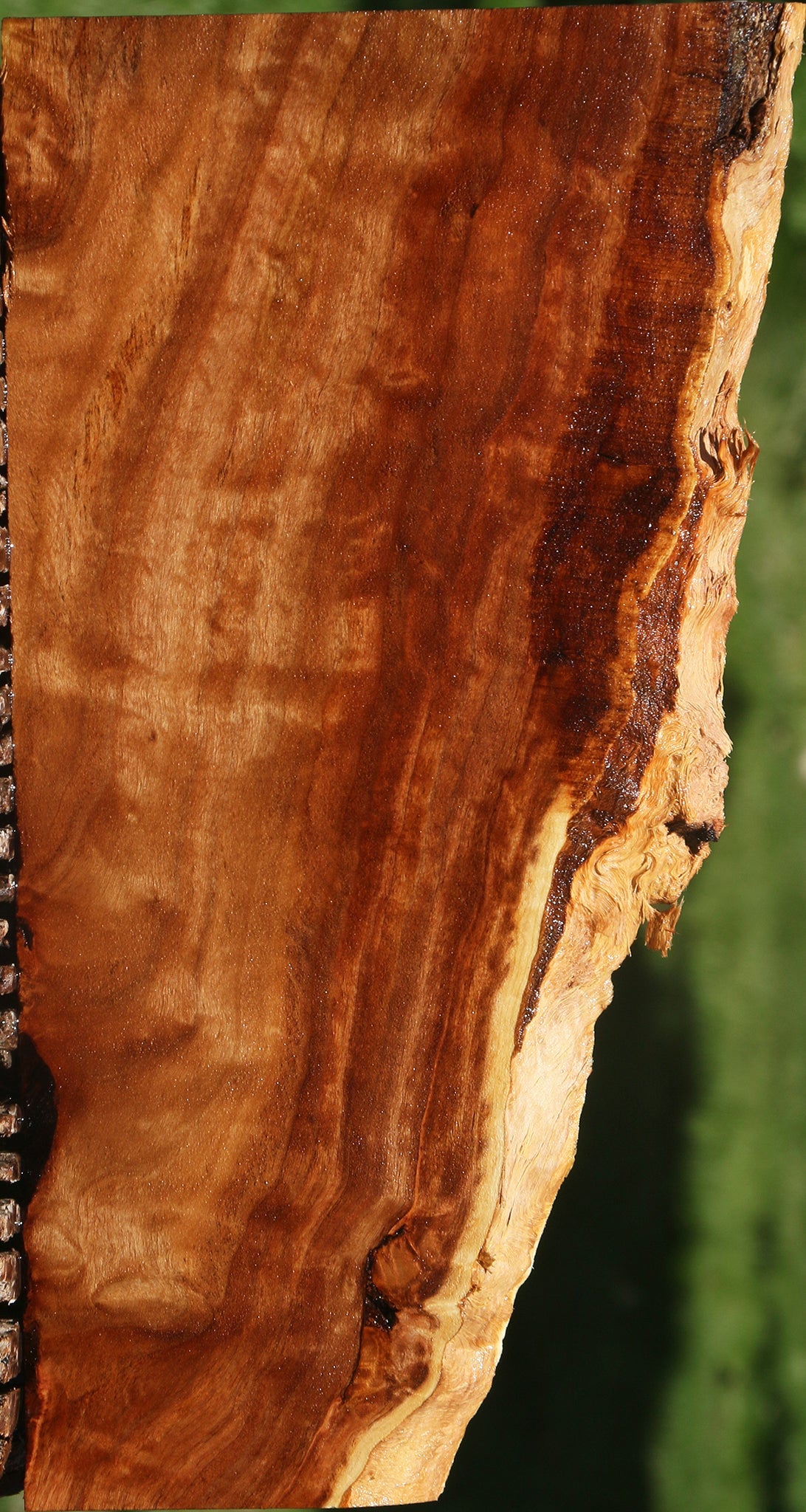 California Cottonwood Burl Live Edge Lumber