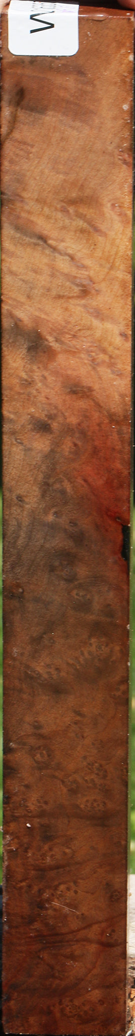 Extra Fancy Madrone Burl Turning Square