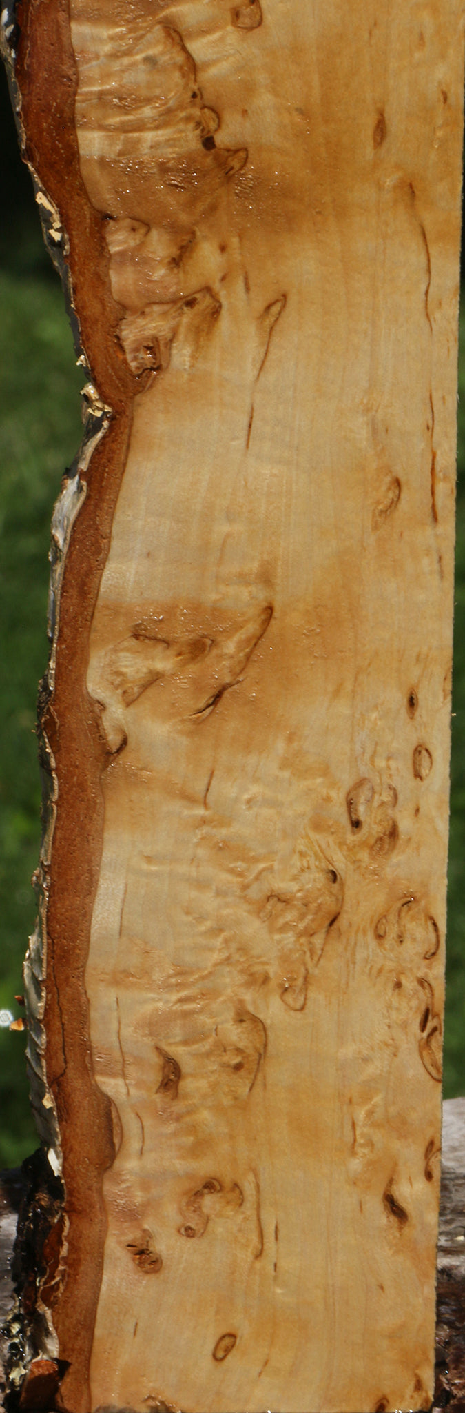Extra Fancy Masur Birch Live Edge Lumber