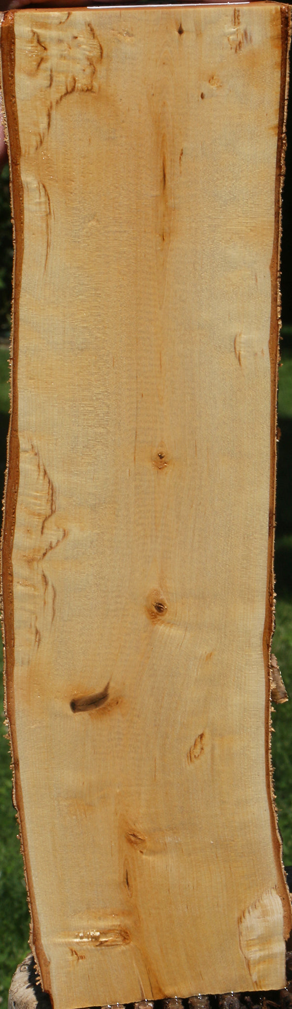 Figured Masur Birch Live Edge Lumber