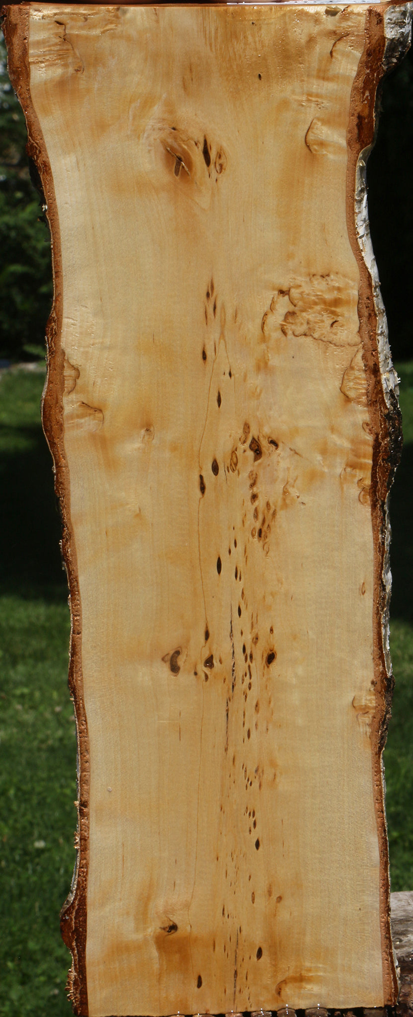 Figured Masur Birch Live Edge Lumber