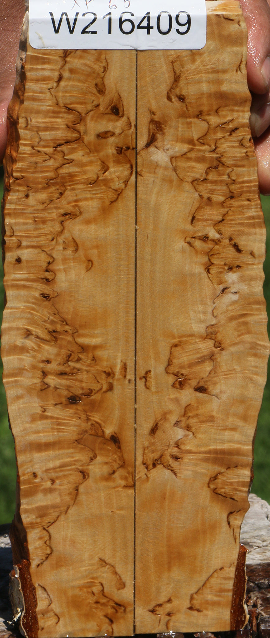 Extra Fancy Masur Birch Live Edge Knife Scales