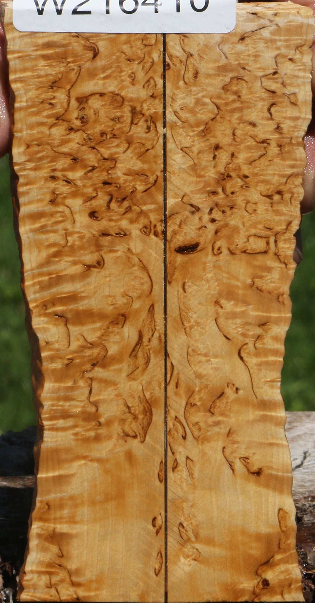 Exhibition Masur Birch Live Edge Knife Scales