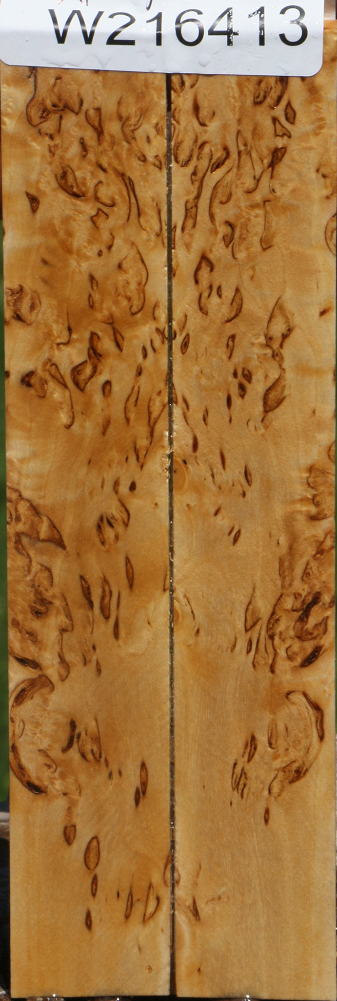 Extra Fancy Masur Birch Knife Scales