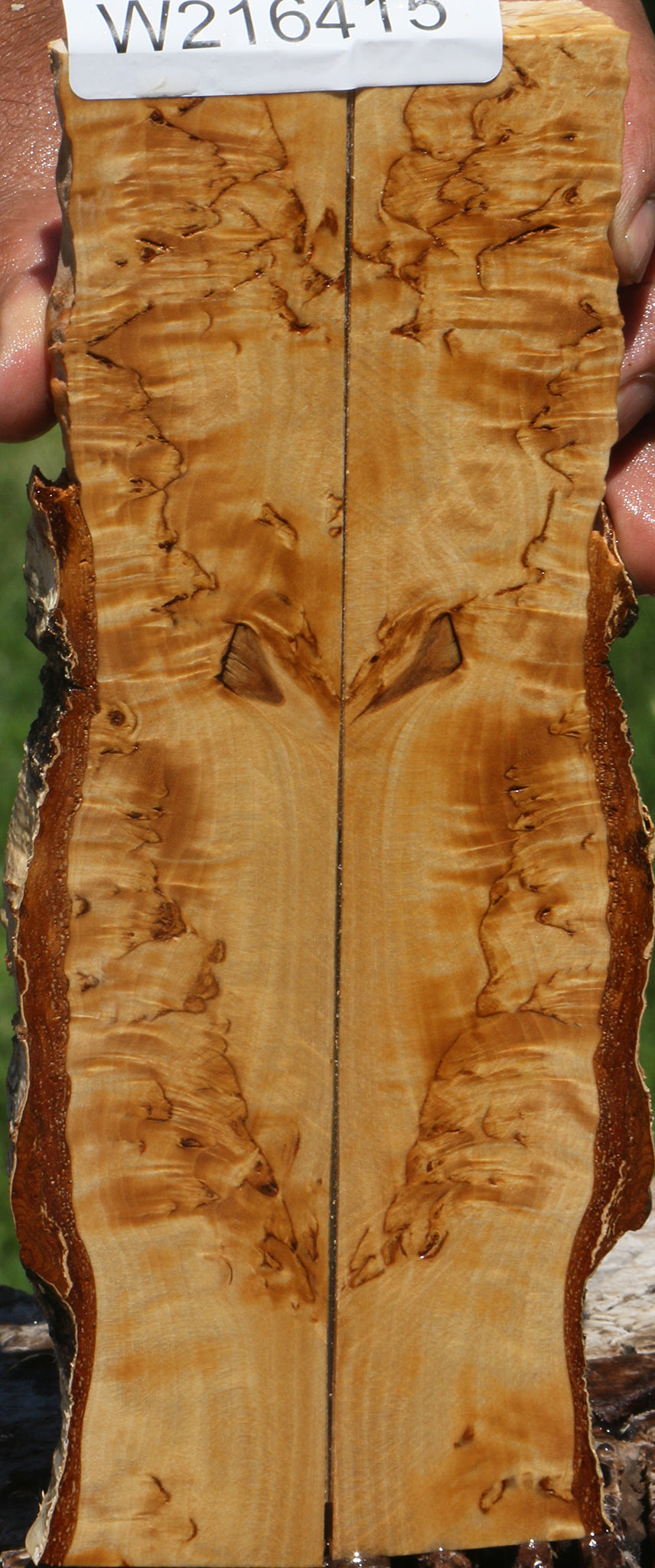 Extra Fancy Masur Birch Live Edge Knife Scales