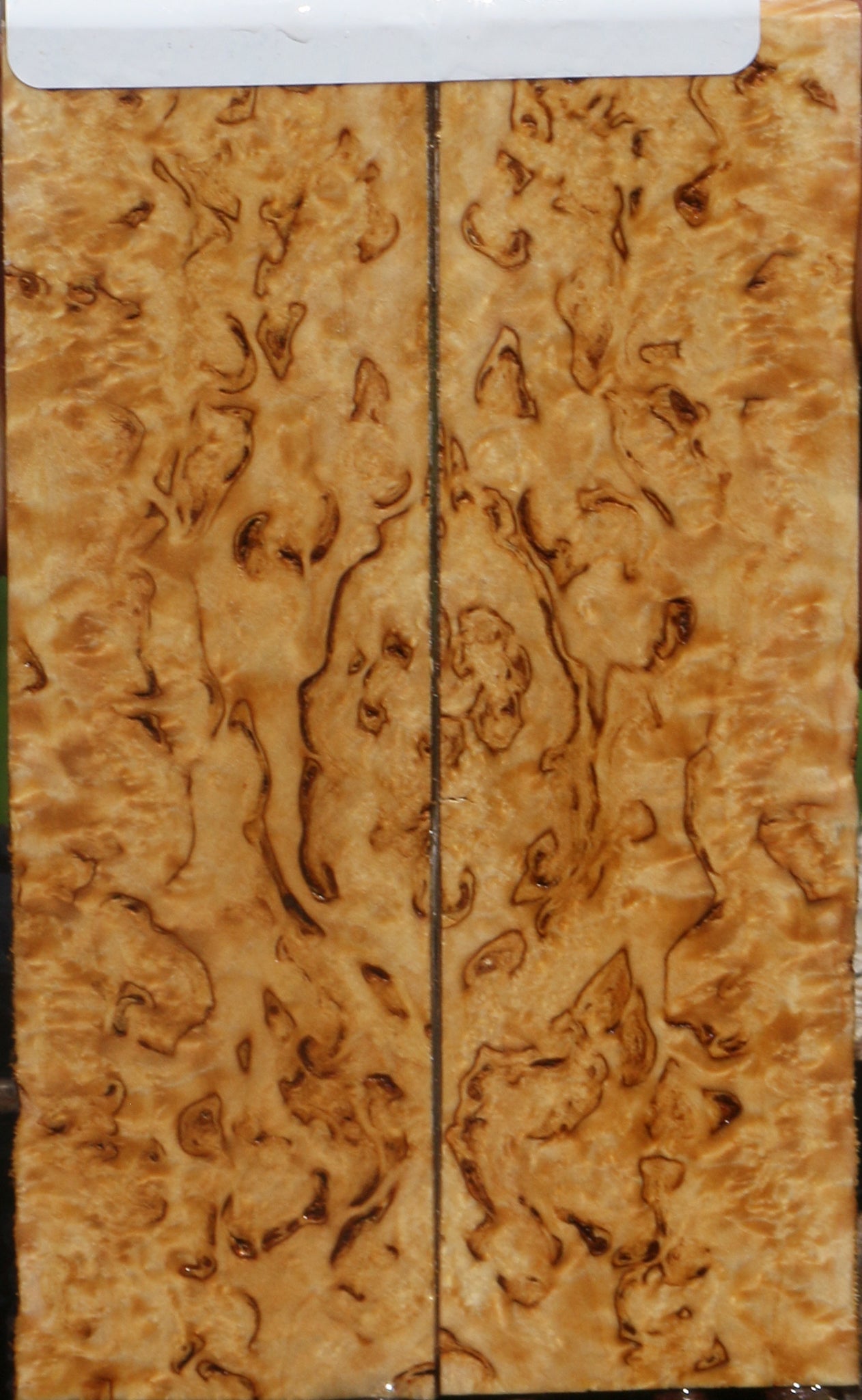 Exhibition Masur Birch Knife Scales