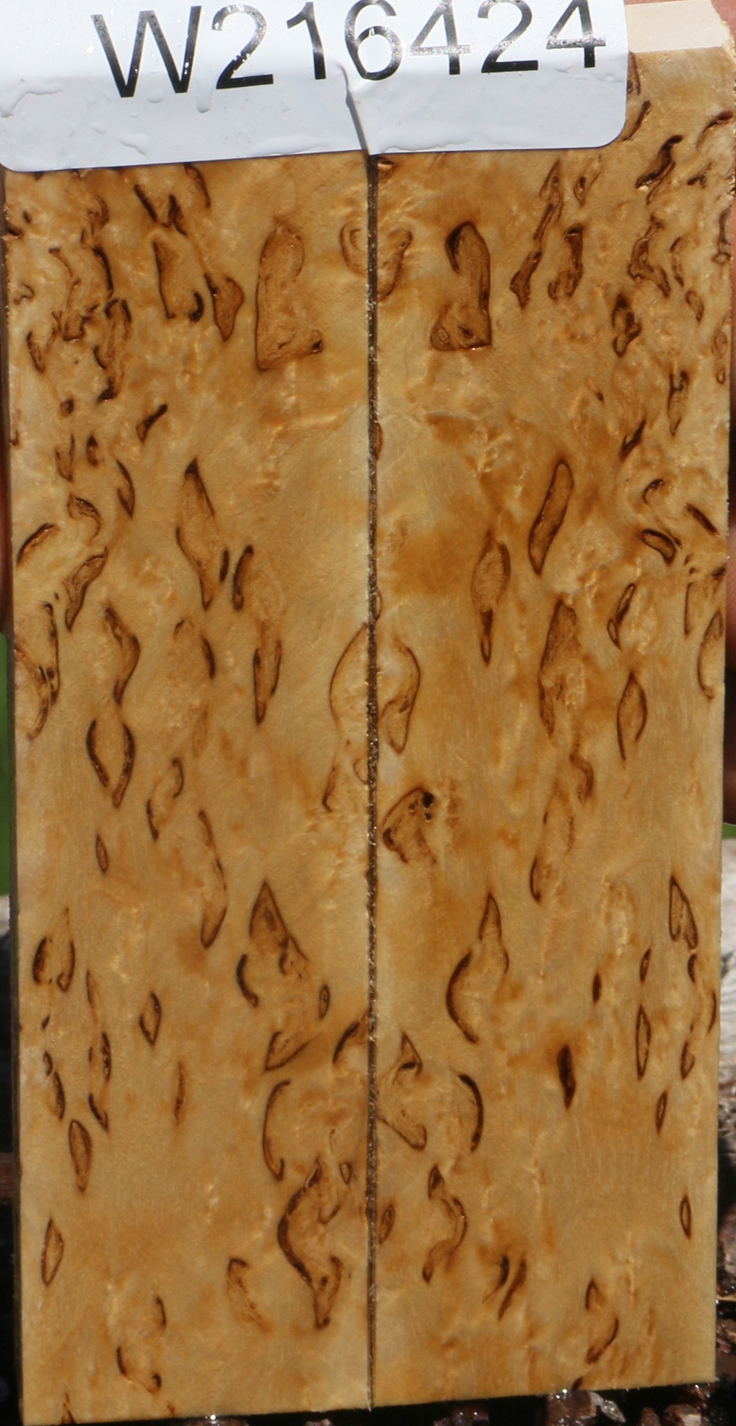 Exhibition Masur Birch Knife Scales