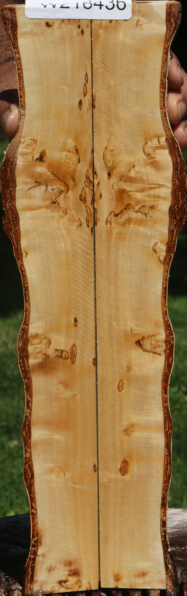 Figured Masur Birch Live Edge Knife Scales