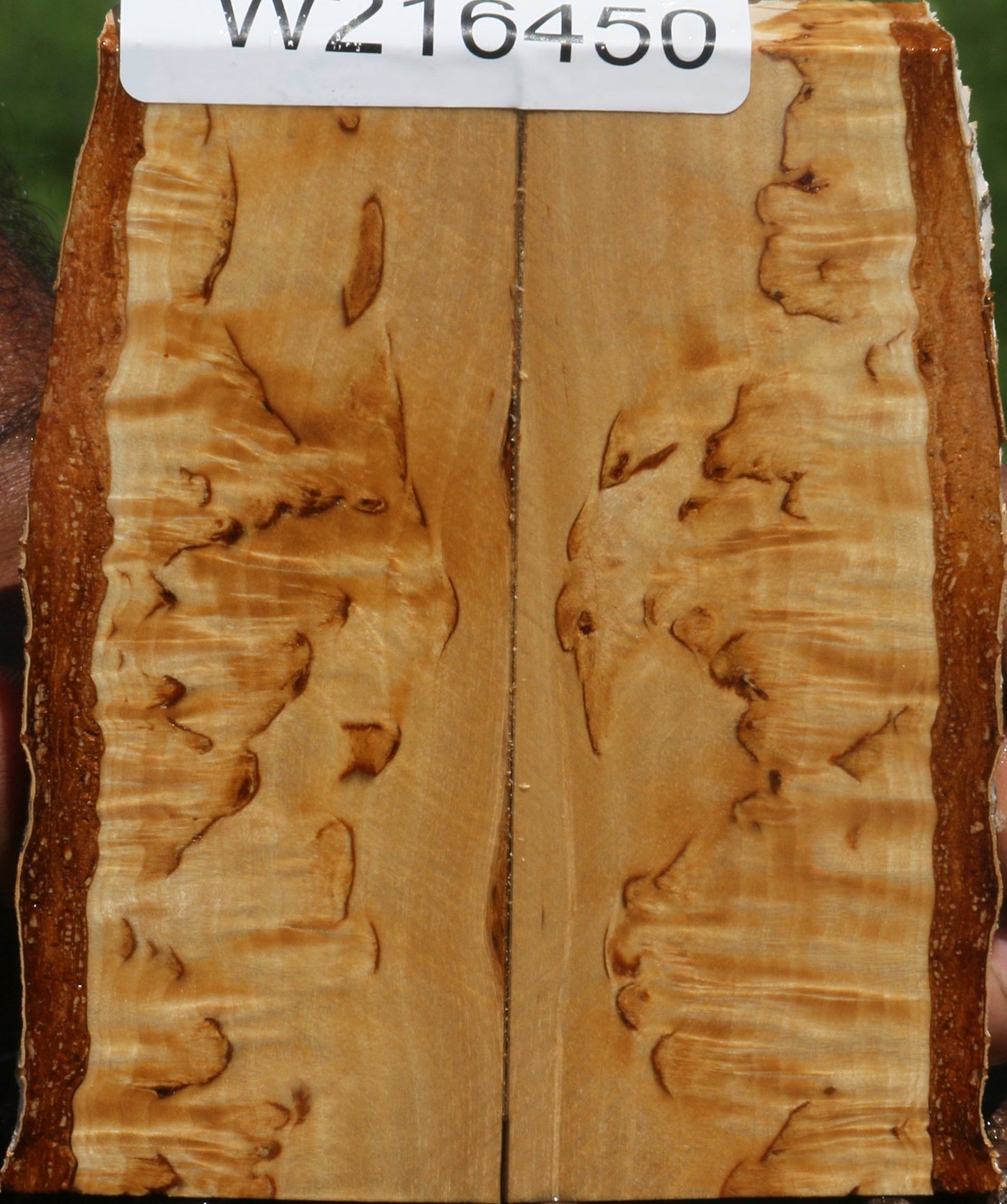 Extra Fancy Masur Birch Live Edge Knife Scales