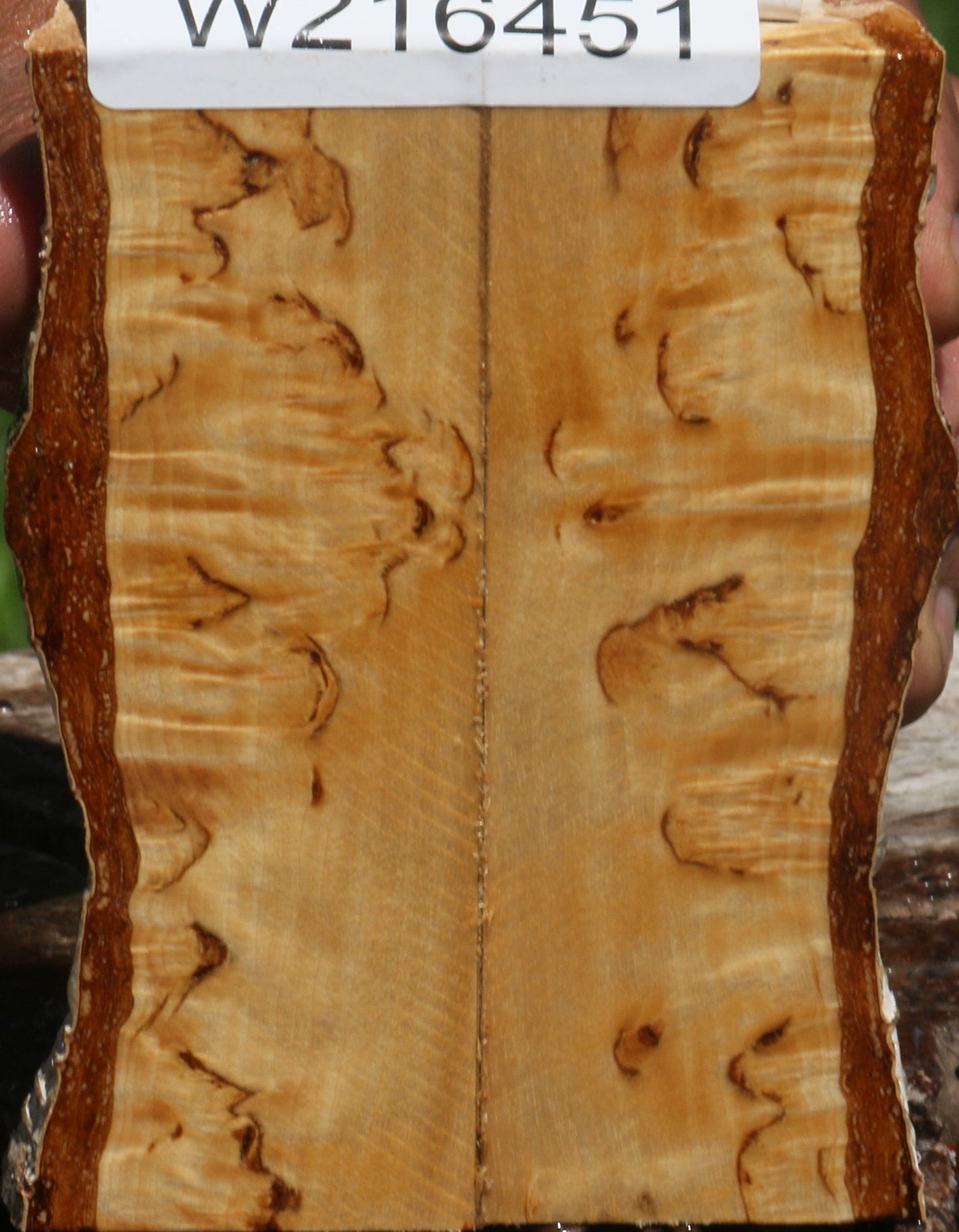 Extra Fancy Masur Birch Live Edge Knife Scales