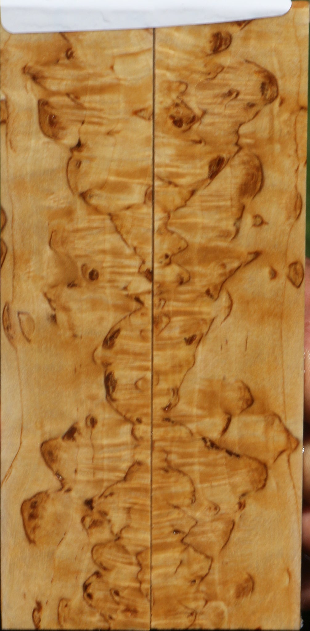 Extra Fancy Masur Birch Knife Scales