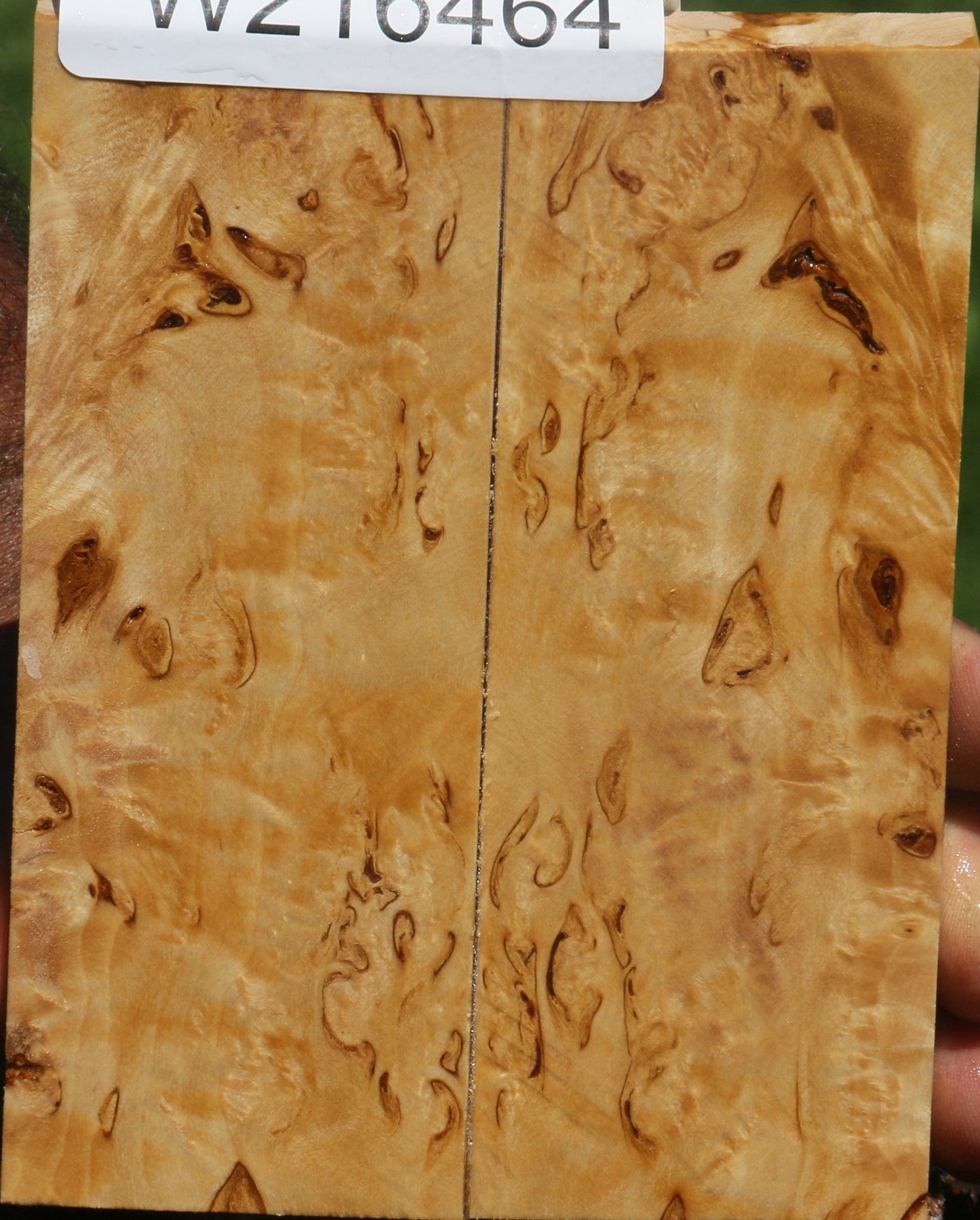 Extra Fancy Masur Birch Knife Scales