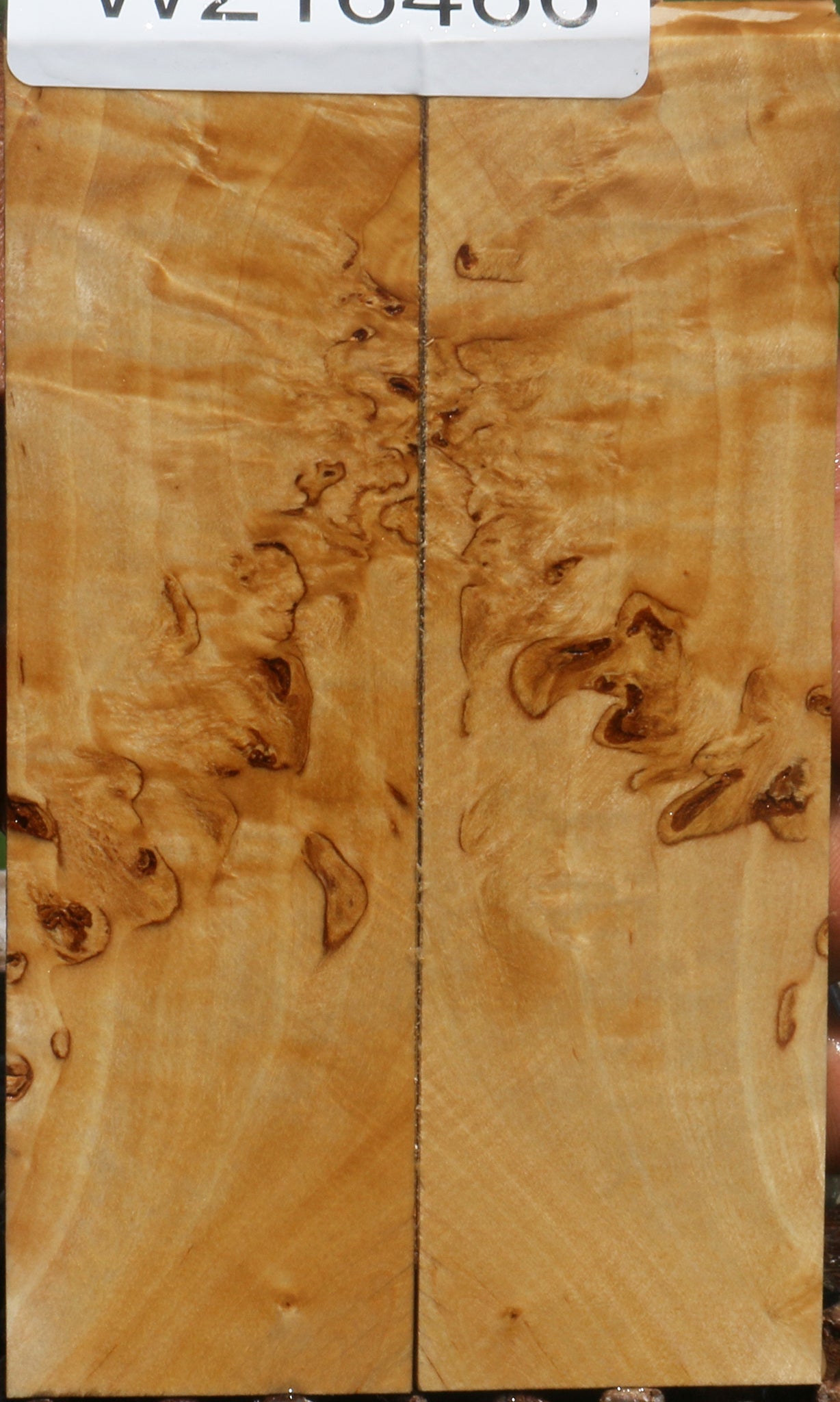 Extra Fancy Masur Birch Knife Scales