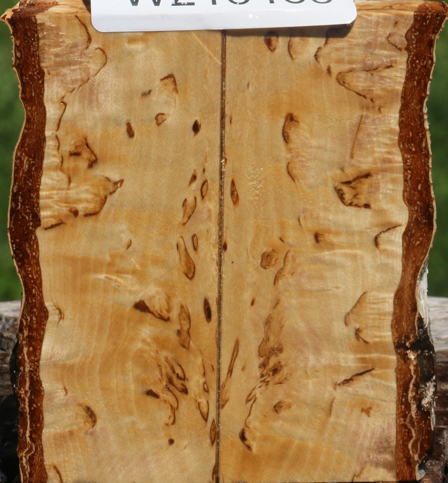 Extra Fancy Masur Birch Live Edge Knife Scales