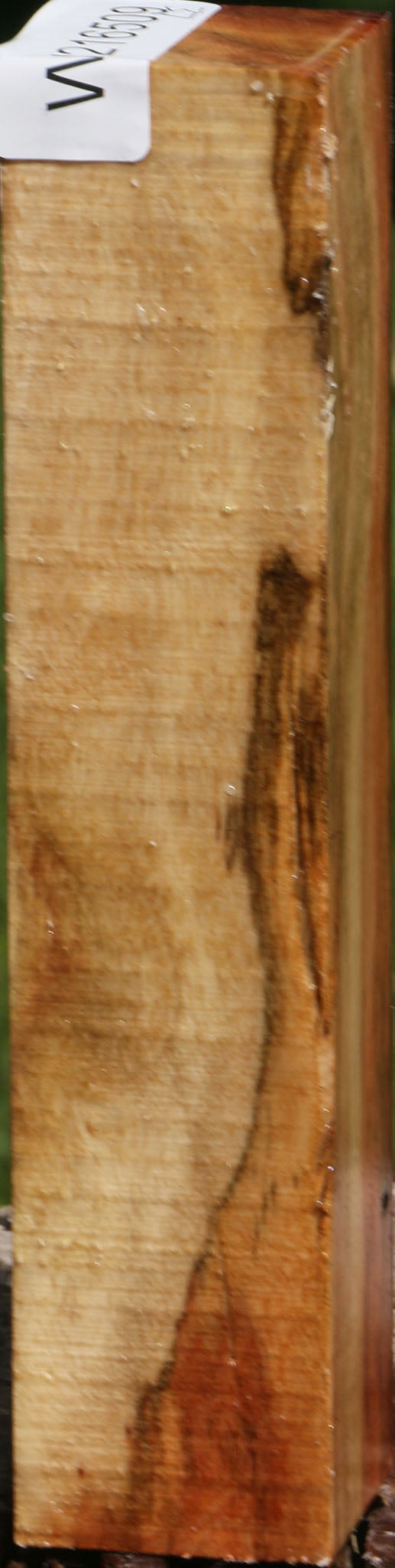 Carob Turning Square