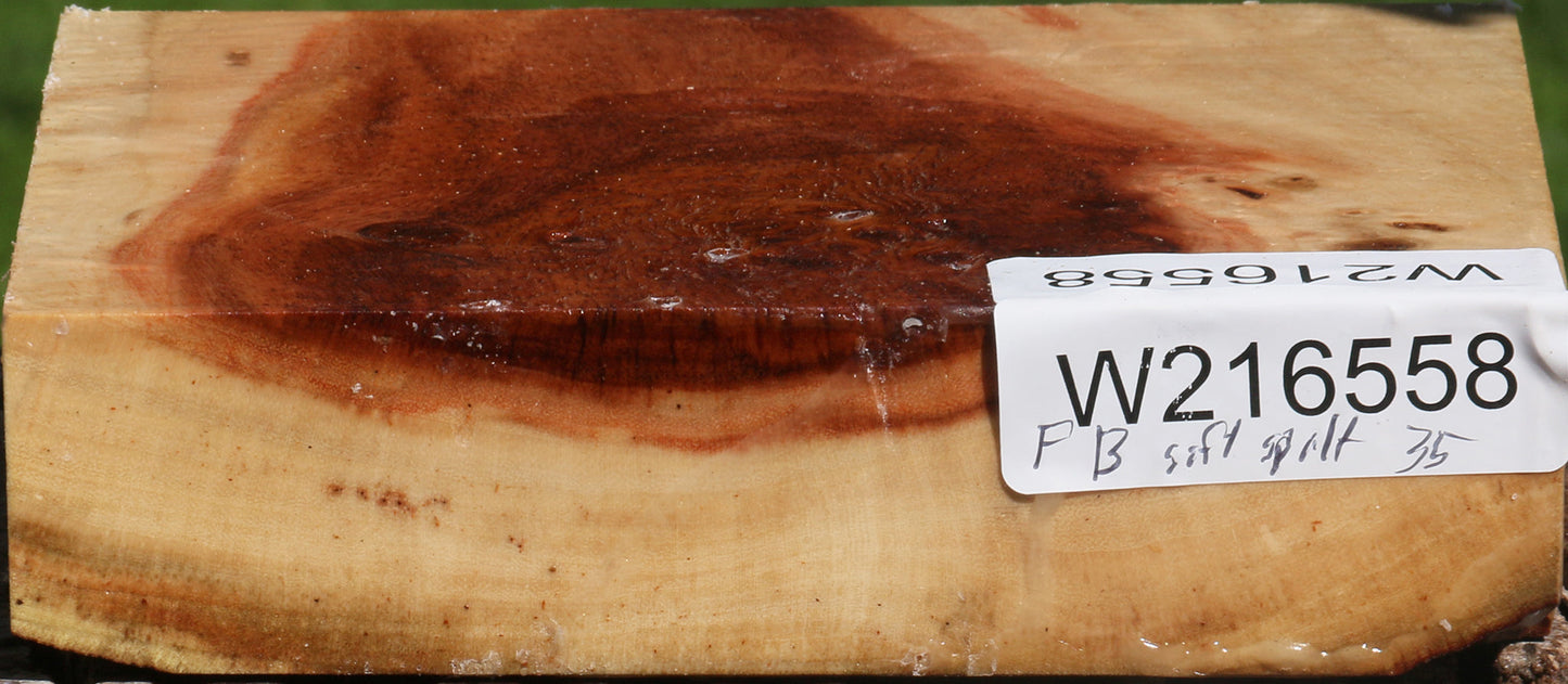 Fiddleback Carob Burl Bowl Blank