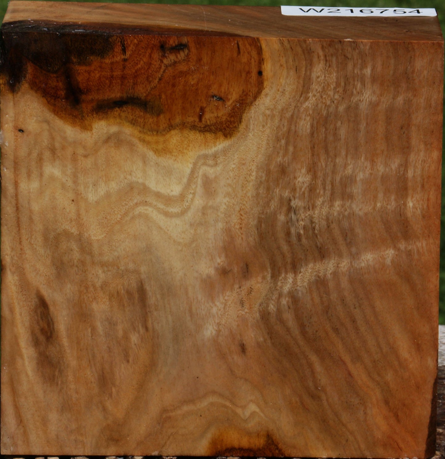 Figured Australian Eucalyptus Burl Bowl Blank