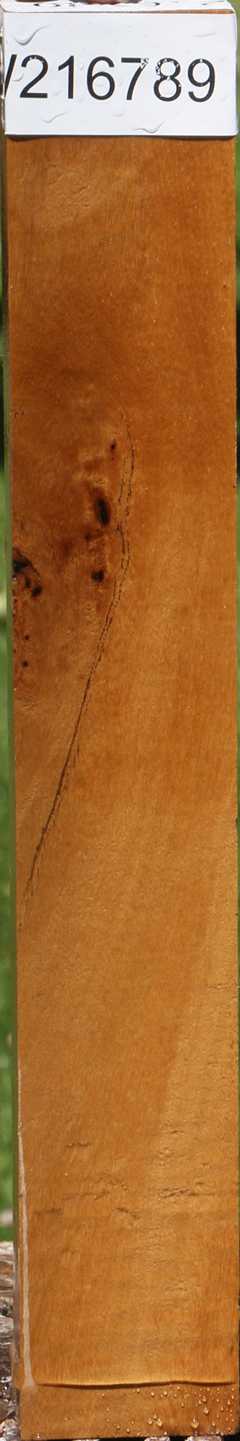 African Bog Birch Lumber