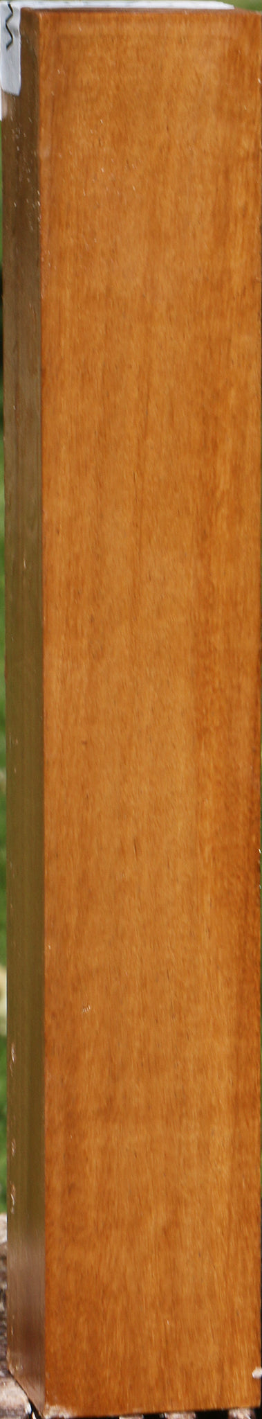 African Bog Birch Turning Square