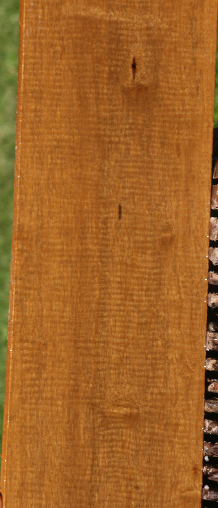 Extra Fancy African Bog Birch Lumber