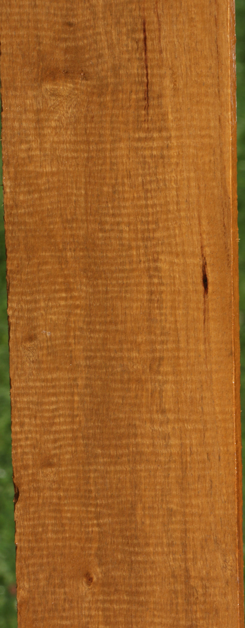 Extra Fancy African Bog Birch Lumber