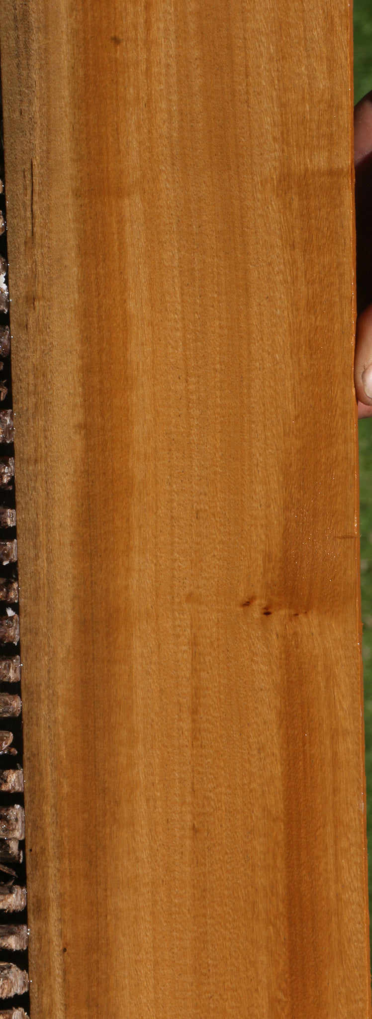 Figured African Bog Birch Micro Lumber