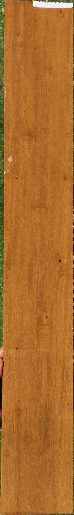 Rustic African Bog Birch Micro Lumber
