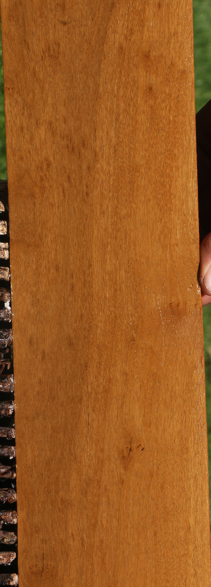 Extra Fancy African Bog Birch Micro Lumber