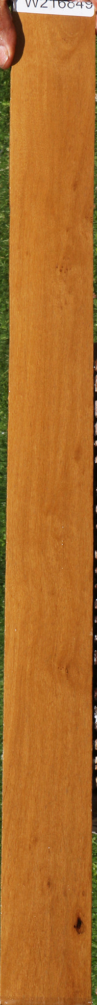 African Bog Birch Micro Lumber