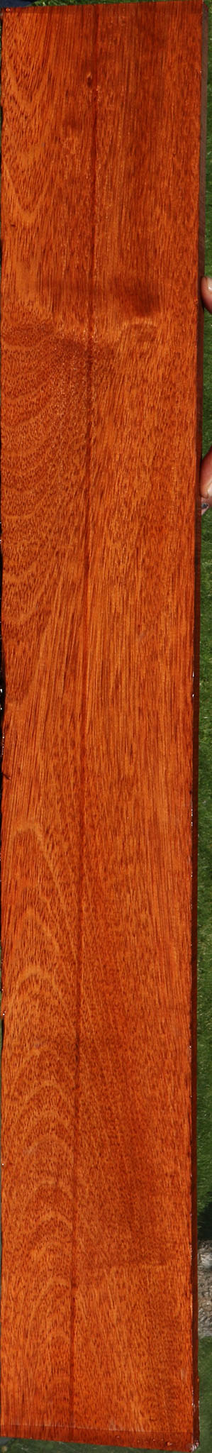 Bloodwood Lumber