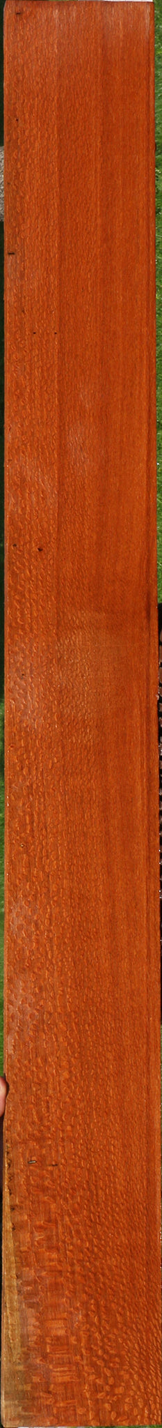 Figured Leopardwood Lumber
