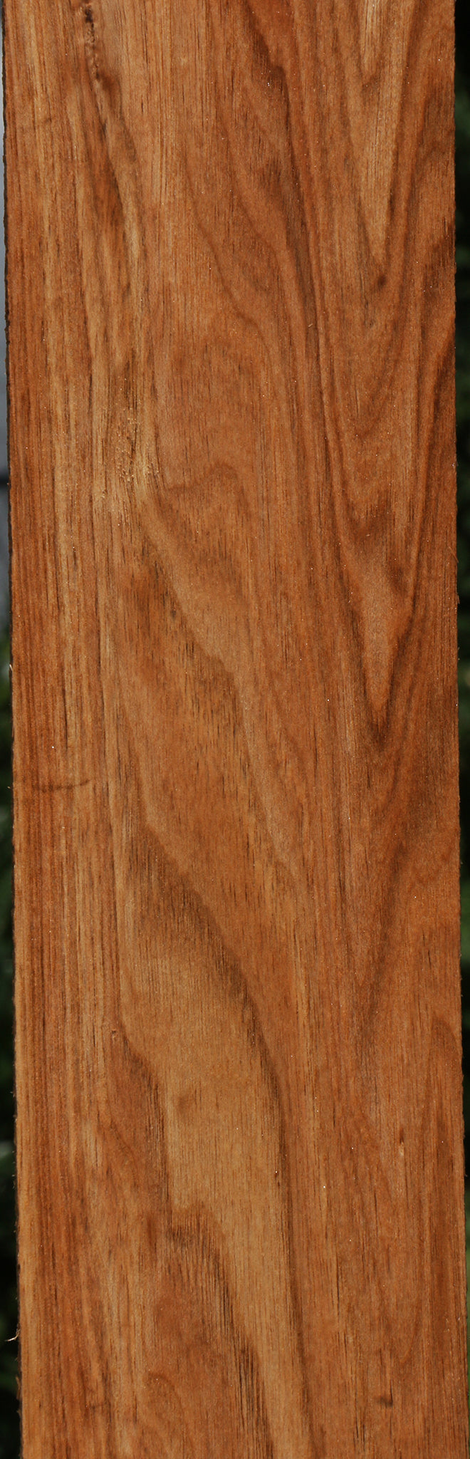 Figured Butternut Micro Lumber