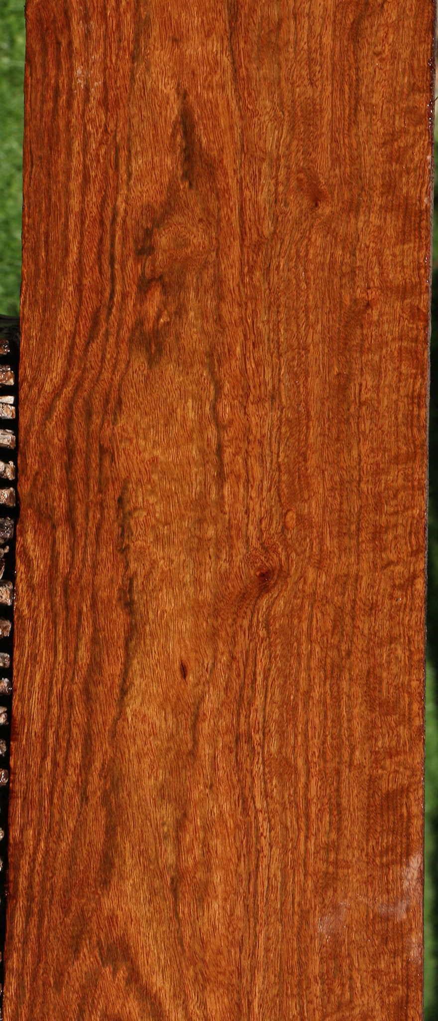 Extra Fancy Chechen Lumber