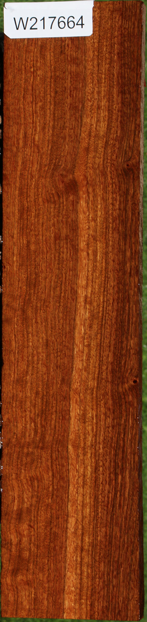 Extra Fancy Chechen Lumber