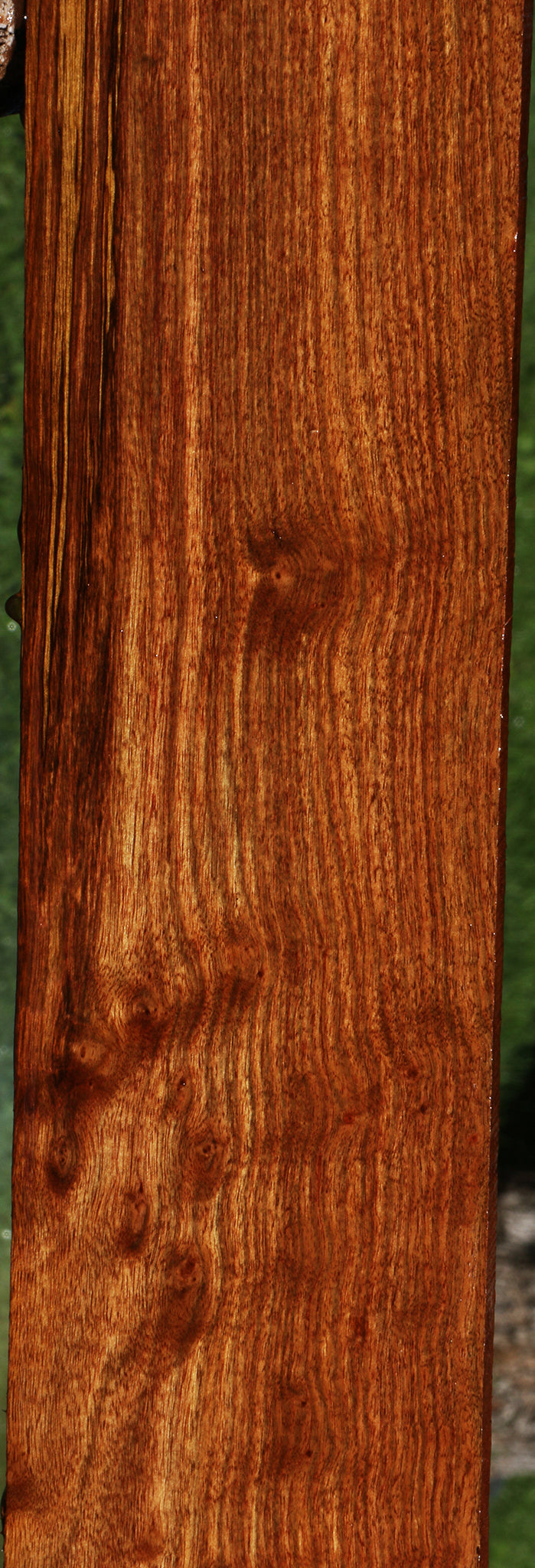 Figured Chechen Lumber