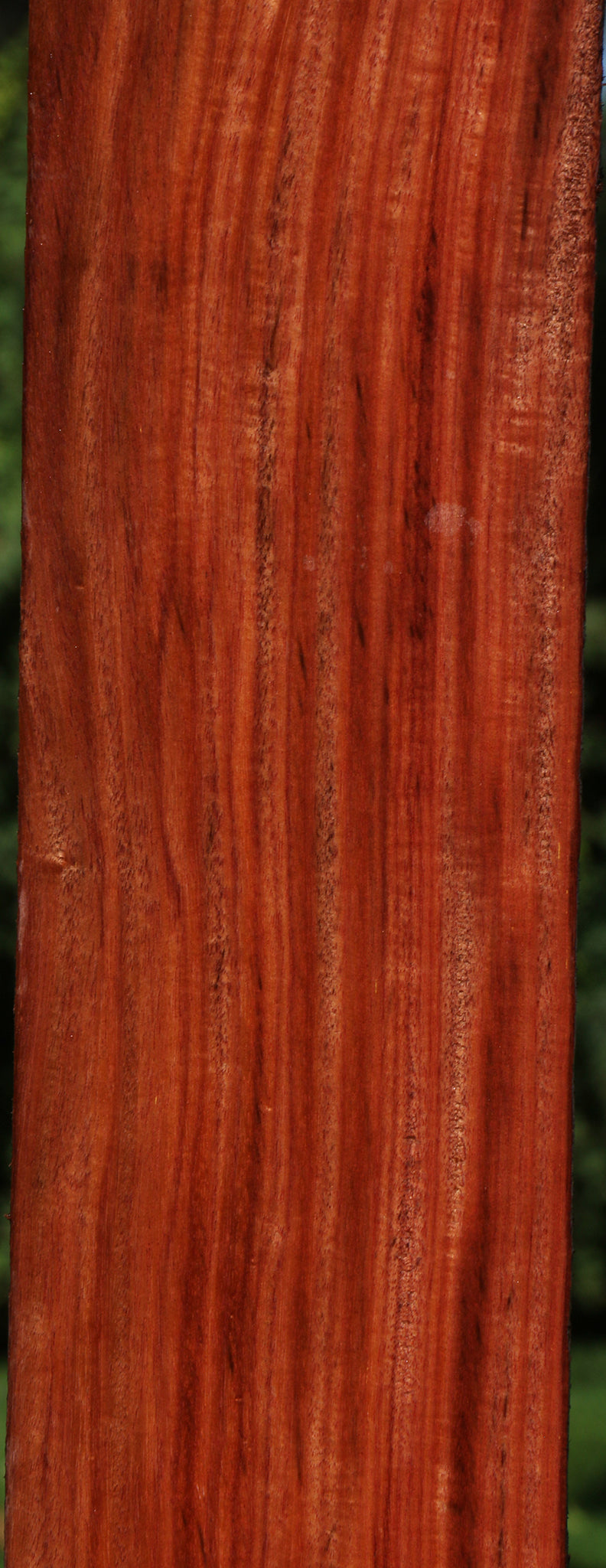 Extra Fancy Santos Mahogany Lumber