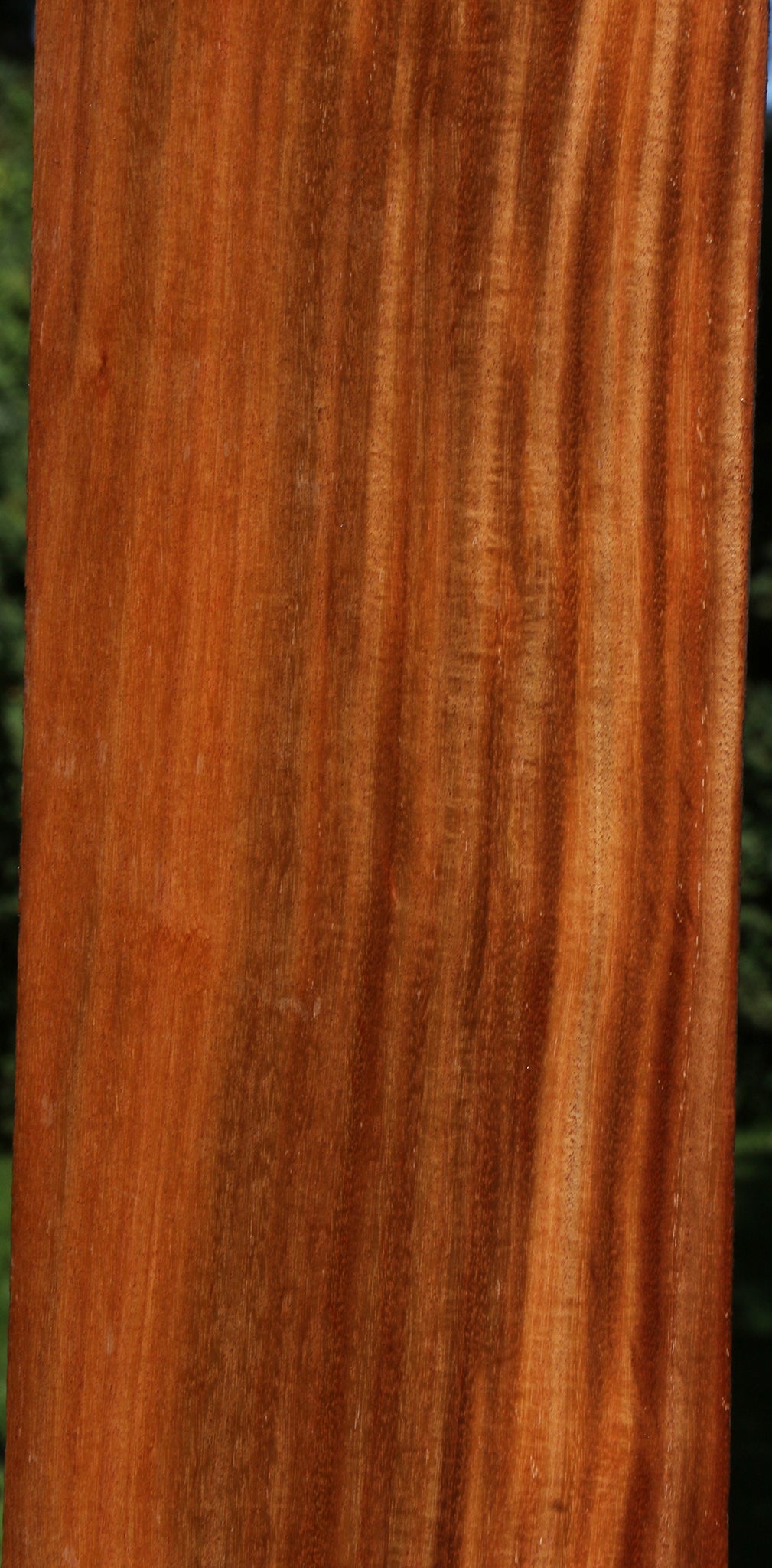 Extra Fancy Santos Mahogany Lumber